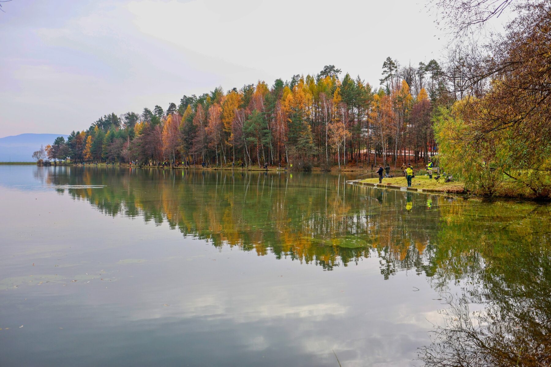 fotka - kaniansky pstruh