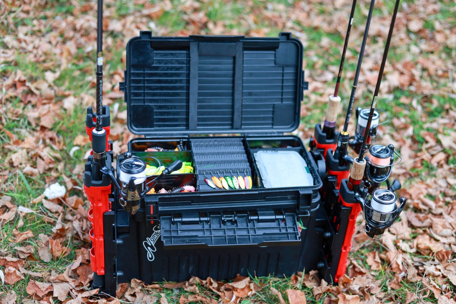 fotka - kaniansky pstruh