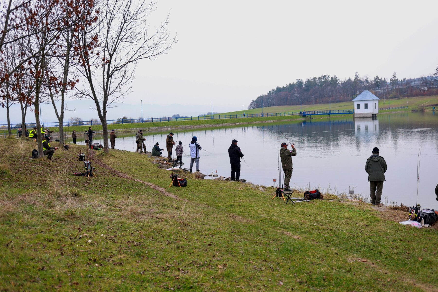 fotka - kaniansky pstruh